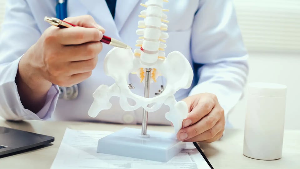 Doctor education patient on a spinal hernia